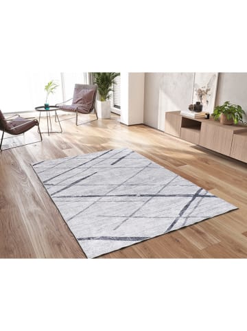 Atticgo Dywan "Class" w kolorze jasnoszarym