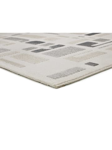 Atticgo Kurzflor-Teppich "Flora" in Creme/ Grau