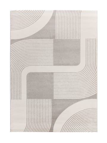 Atticgo Dywan "Flora" w kolorze kremowo-szarym