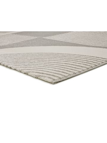 Atticgo Dywan "Flora" w kolorze kremowo-szarym