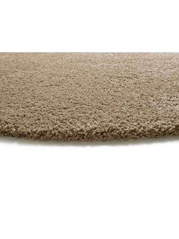 Atticgo Hochflor-Teppich "Norge" in Hellbraun