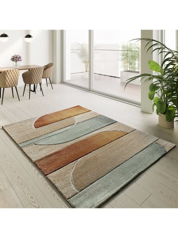 Moma Kurzflor-Teppich ''Sora'' in Bunt