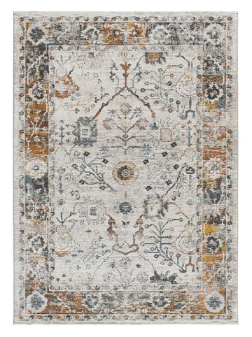 Atticgo Laagpolig tapijt "Springs" grijs/meerkleurig