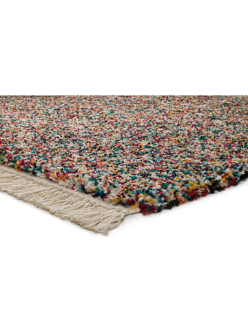 Atticgo Hochflor-Teppich "Yebel" in Bunt