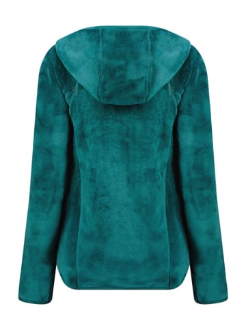 Geographical Norway Fleecejacke "Upalood" in Dunkelgrün