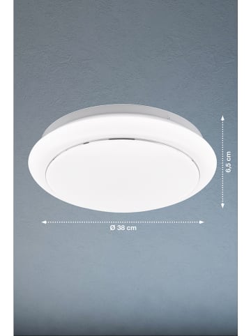 FISCHER & HONSEL LED-Deckenleuchte "Tivoli" in Weiß - (H)6,5 x Ø 38 cm