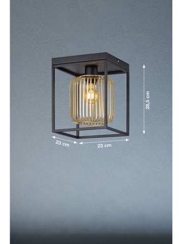 FISCHER & HONSEL Lampa sufitowa "Caydo" w kolorze złoto-czarnym - 23 x 23 cm