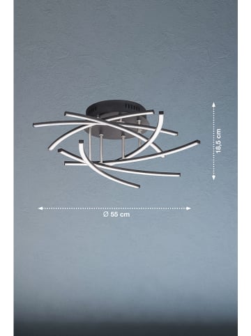 FISCHER & HONSEL Ledplafonnière "Cross" zwart - Ø 55 cm