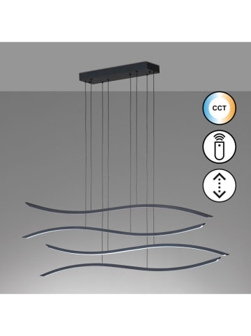 FISCHER & HONSEL Lampa wisząca LED "Fisk" w kolorze czarnym - 136 x 160 x 17 cm