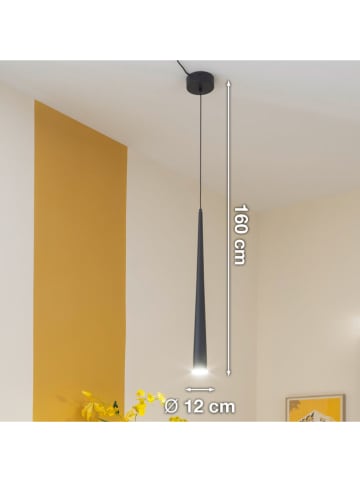 FH Lighting Ledpendellamp "Cone" zwart - Ø 12 cm x (H)160 cm