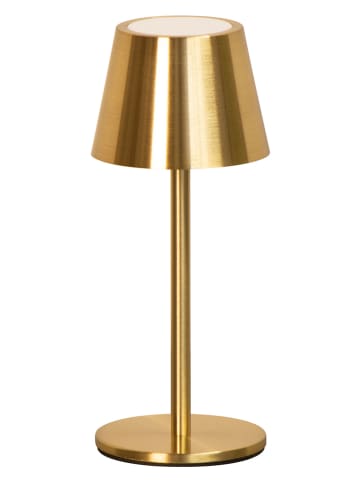 FH Lighting Lampa stołowa LED "Salerno" w kolorze złotym - wys. 20 x Ø 8,5 cm