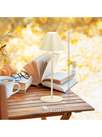 FH Lighting Lampa stołowa LED "Kano" w kolorze złotym - wys. 36 x Ø 14 cm