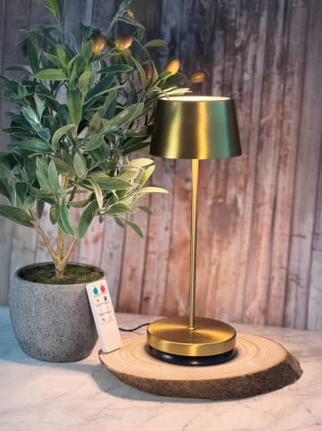 FH Lighting Lampa stołowa LED "Asena" w kolorze złotym - wys. 30 x Ø 11 cm