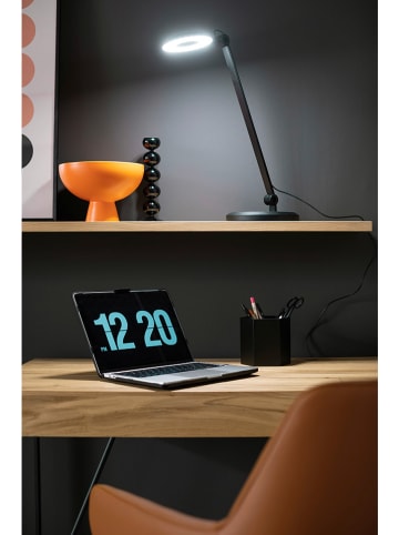 FISCHER & HONSEL LED-Tischleuchte "Office" in Schwarz - (B)20 x (H)48 cm