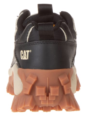 CAT Leder-Sneakers "Eco Intruder" in Schwarz
