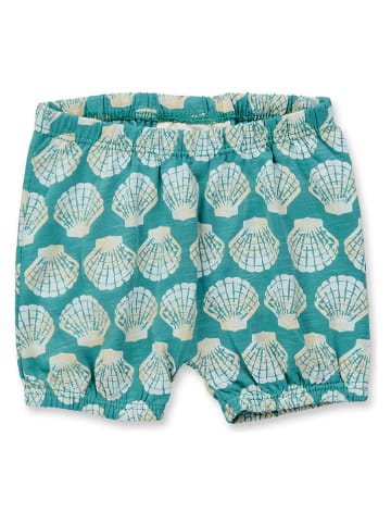 Sense Organics Shorts "Maya" in Hellblau