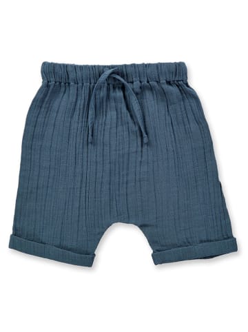 Sense Organics Shorts "Charlie" in Dunkelblau