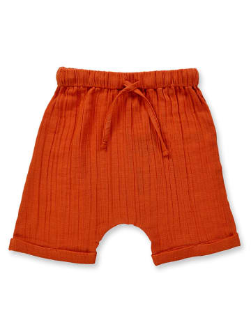 Sense Organics Shorts "Charlie" in Rot