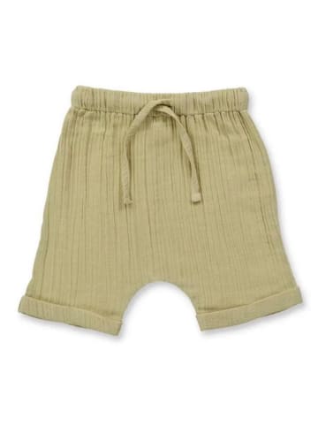 Sense Organics Shorts "Charlie" in Hellgrün