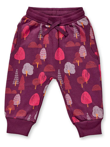 Sense Organics Sweathose "Nevin" in Lila