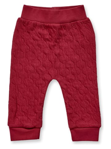 Sense Organics Hose "Tomke" in Bordeaux
