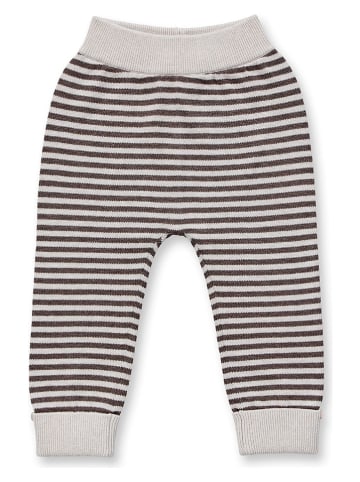 Sense Organics Hose "Pablo" in Grau/ Braun