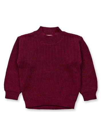Sense Organics Trui "Marley" rood