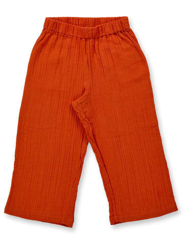 Sense Organics Hose "Lisann" in Rot