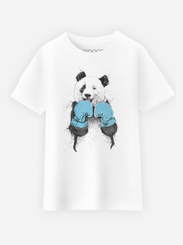 WOOOP Shirt "The winner panda" in Weiß/ Blau