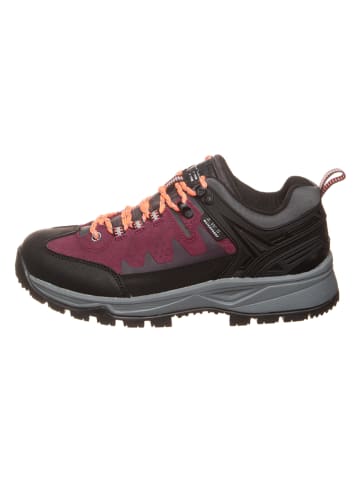 Icepeak Trekkingschuhe in Schwarz/ Lila
