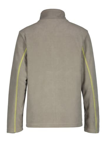 Icepeak Fleece vest "Lohmar" beige