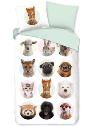 Good Morning Renforcé Beddengoedset meerkleurig