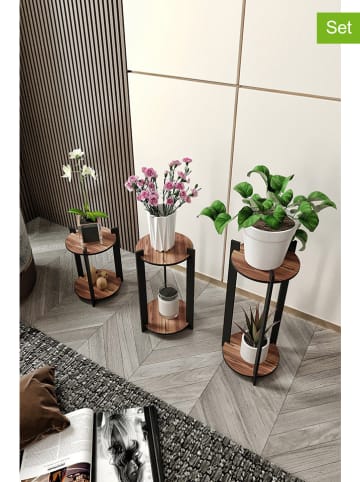 Evila 3er-Set: Pflanzenständer in Braun/ Schwarz