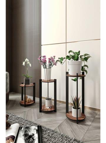 Evila 3er-Set: Pflanzenständer in Braun/ Schwarz