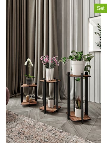 Evila 3-delige set: plantenstandaards bruin/zwart