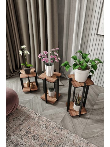 Evila 3-delige set: plantenstandaards bruin/zwart