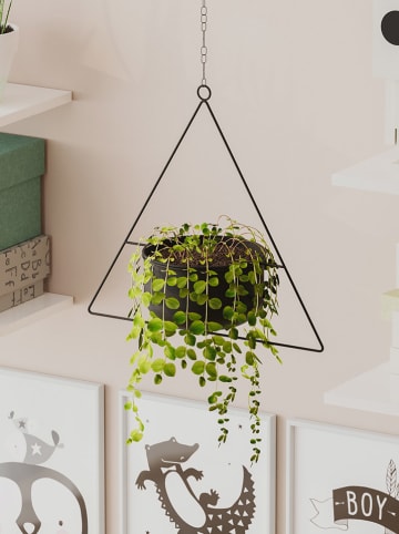 Evila Doniczka "Harpusta" w kolorze czarnym - wys. 40 x Ø 17 cm