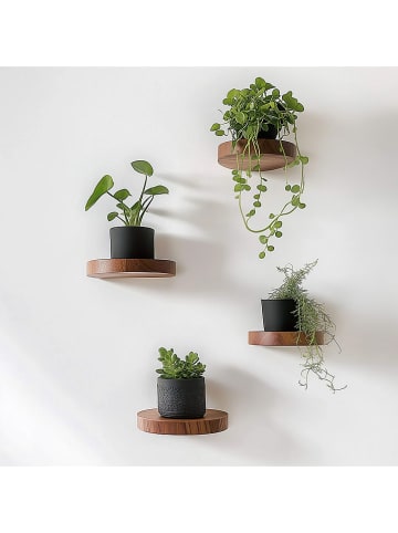 Evila 4er-Set: Wandregale in Braun - Ø 12 cm