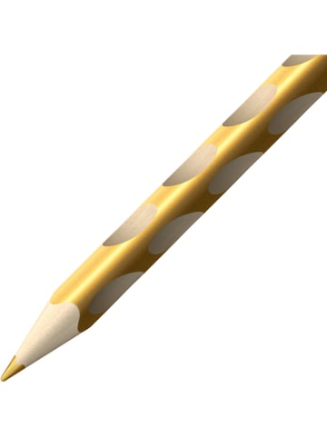 STABILO Kleurpotloden "EASYcolors" - voor rechtshandigen - 24 stuks