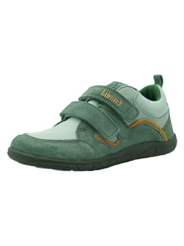 lamino Leren barefootschoenen groen