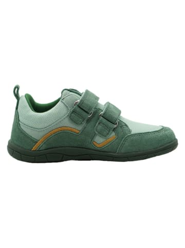 lamino Skórzane buty barefoot w kolorze zielonym  