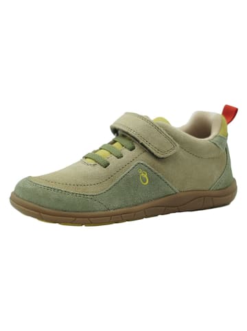 lamino Leder-Barfußschuhe in Khaki