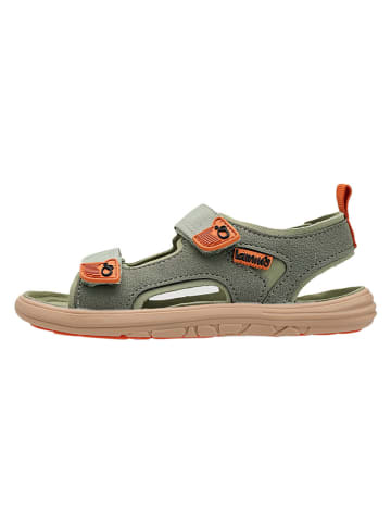 lamino Sandały barefoot w kolorze khaki