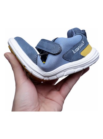 lamino Buty barefoot w kolorze niebieskim