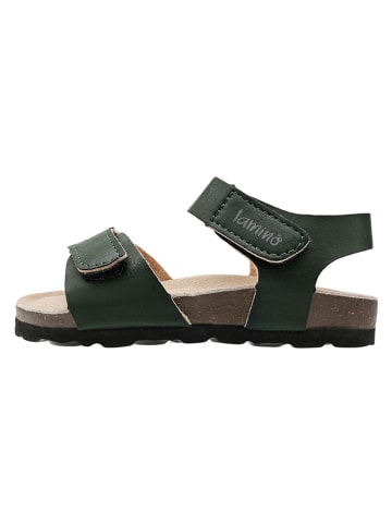 lamino Sandalen groen