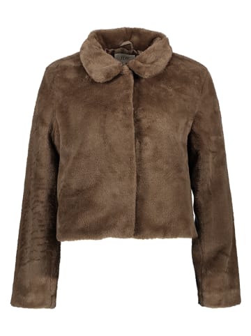 JDY Übergangsjacke in Hellbraun