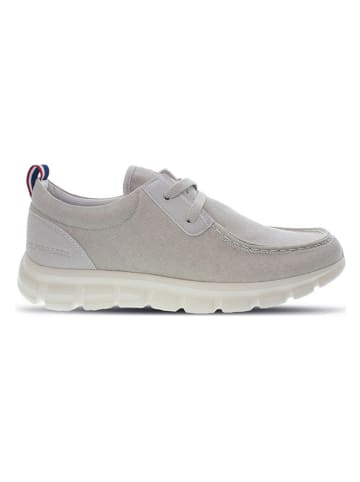 U.S. Polo Assn. Sneakers grijs