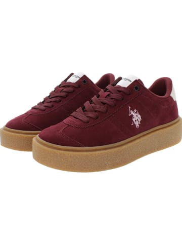 U.S. Polo Assn. Sneakers in Rot