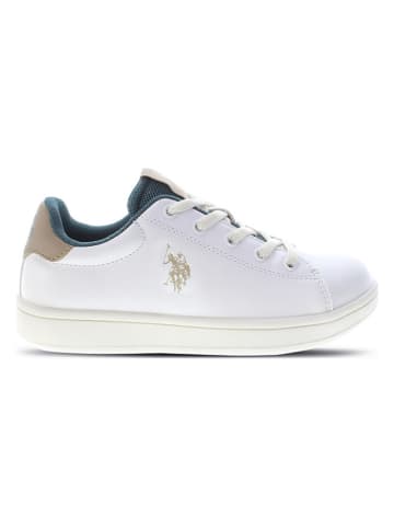 U.S. Polo Assn. Sneakers in Weiß/ Beige