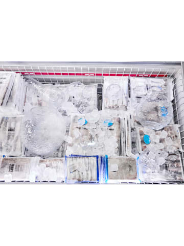 Byon 2-delige set: glazen "Swan" transparant - 420 ml